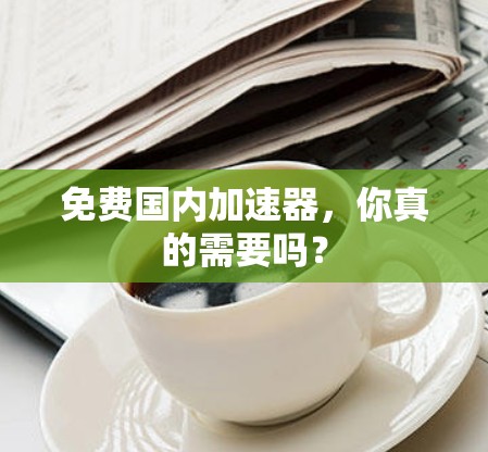 免费国内加速器,你真的需要吗?
