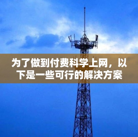 为了做到付费科学上网,以下是一些可行的解决方案 为了做到付费科学上网,以下是一些可行的解决方案