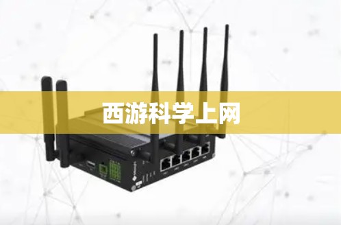 西游科学上网