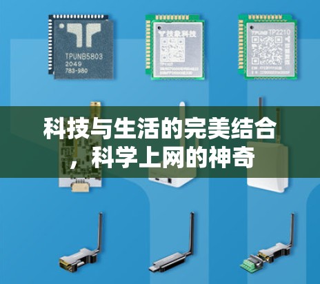科技与生活的完美结合,科学上网的神奇 科技与生活的完美结合,科学上网的神奇