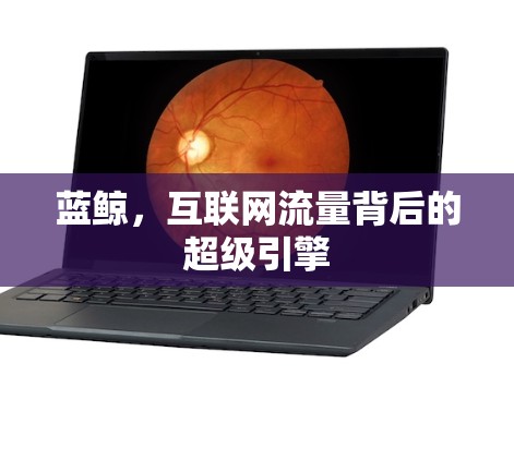 蓝鲸,互联网流量背后的超级引擎 蓝鲸,互联网流量背后的超级引擎