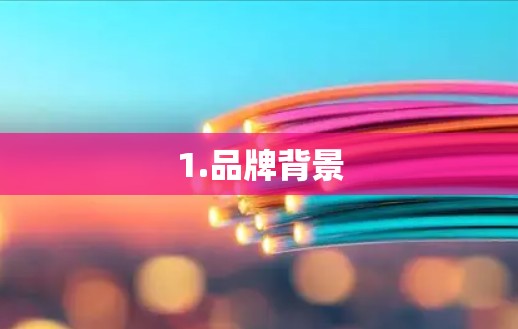 1.品牌背景 1.品牌背景