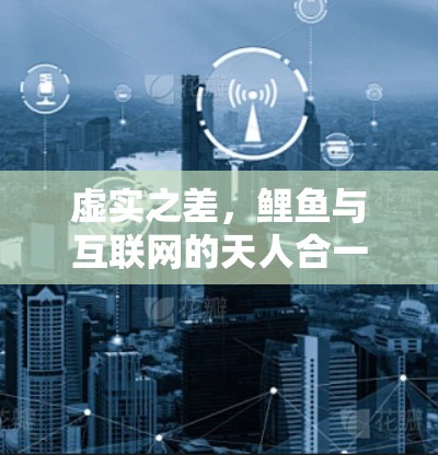 虚实之差，鲤鱼与互联网的天人合一