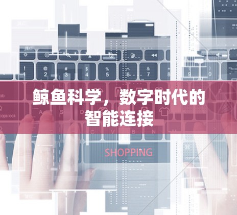 鲸鱼科学,数字时代的智能连接 鲸鱼科学,数字时代的智能连接