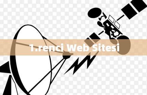 1.renci Web Sitesi