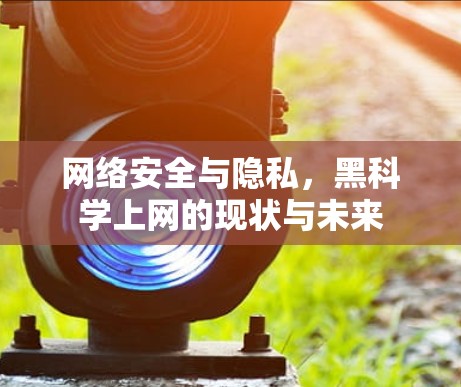 网络安全与隐私,黑科学上网的现状与未来 网络安全与隐私,黑科学上网的现状与未来