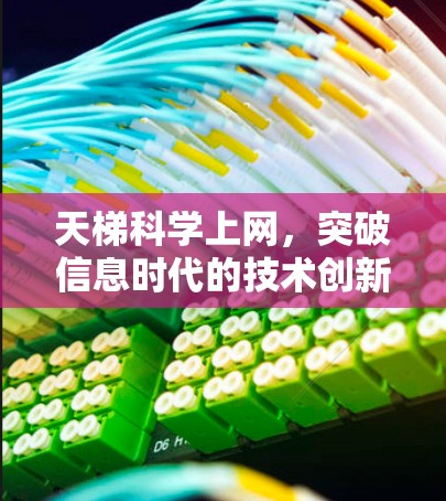 天梯科学上网，突破信息时代的技术创新