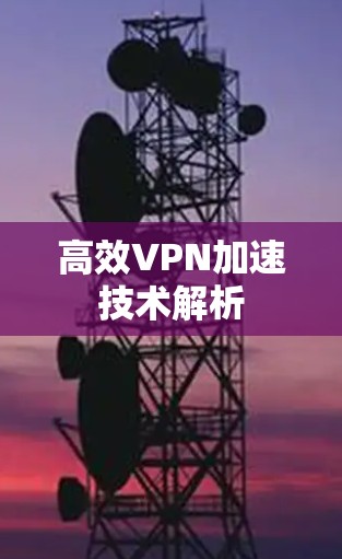 高效VPN加速技术解析 高效VPN加速技术解析