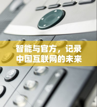 智能与官方,记录中国互联网的未来 智能与官方,记录中国互联网的未来