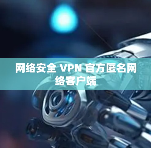 网络安全 VPN 官方匿名网络客户端 网络安全 VPN 官方匿名网络客户端
