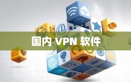国内 VPN 软件