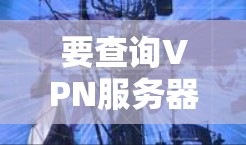 要查询VPN服务器的线路，通常需要以下步骤