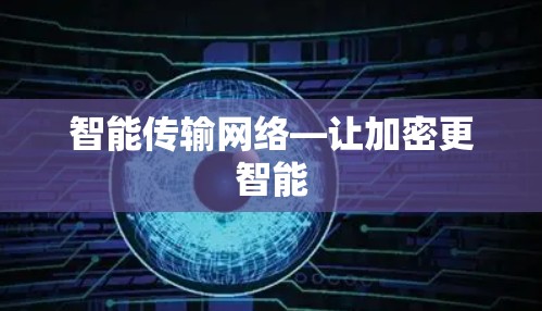 智能传输网络—让加密更智能
