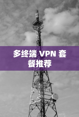 多终端 VPN 套餐推荐 多终端 VPN 套餐推荐