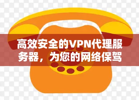 高效安全的VPN代理服务器,为您的网络保驾护航! 高效安全的VPN代理服务器,为您的网络保驾护航!