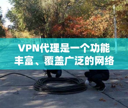 VPN代理是一个功能丰富、覆盖广泛的网络服务系统，旨在提供VPN连接，保护用户和设备的安全。以下是对VPN代理功能的详细分析