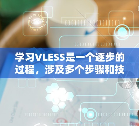学习VLESS是一个逐步的过程，涉及多个步骤和技能，以下是一个详细的指南，帮助您理解和使用VLESS