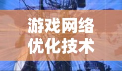 游戏网络优化技术与应用 游戏网络优化技术与应用