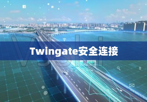 Twingate安全连接