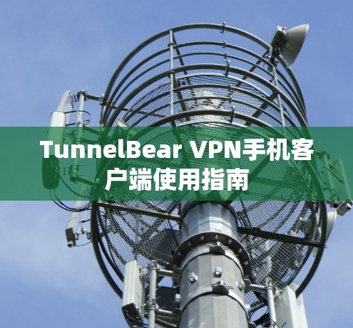 TunnelBear VPN手机客户端使用指南 TunnelBear VPN手机客户端使用指南