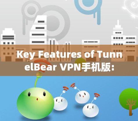 Key Features of TunnelBear VPN手机版: