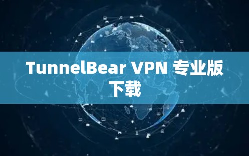 TunnelBear VPN 专业版下载