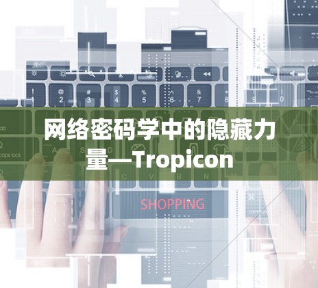 网络密码学中的隐藏力量—Tropicon 网络密码学中的隐藏力量—Tropicon