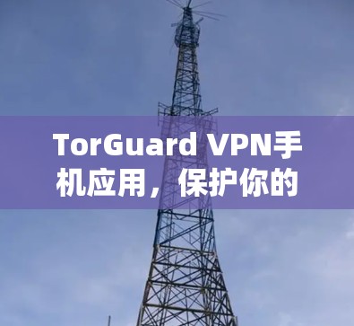 TorGuard VPN手机应用,保护你的网络连接的安全与隐私 TorGuard VPN手机应用,保护你的网络连接的安全与隐私