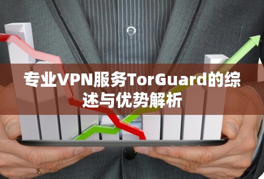 专业VPN服务TorGuard的综述与优势解析 专业VPN服务TorGuard的综述与优势解析