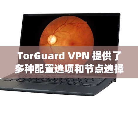 TorGuard VPN 提供了多种配置选项和节点选择,包括免费版、Pro版和 paid版,适合不同需求的用户。以下是详细的分析 TorGuard VPN 提供了多种配置选项和节点选择,包括免费版、Pro版和 paid版,适合不同需求的用户。以下是详细的分析