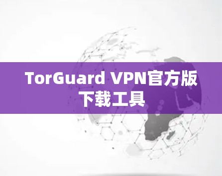 TorGuard VPN官方版下载工具 TorGuard VPN官方版下载工具