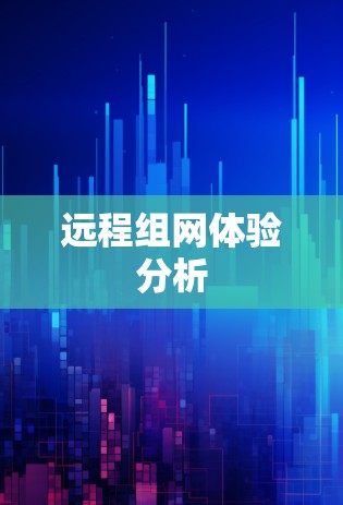 远程组网体验分析 远程组网体验分析