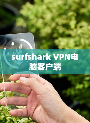 surfshark VPN电脑客户端