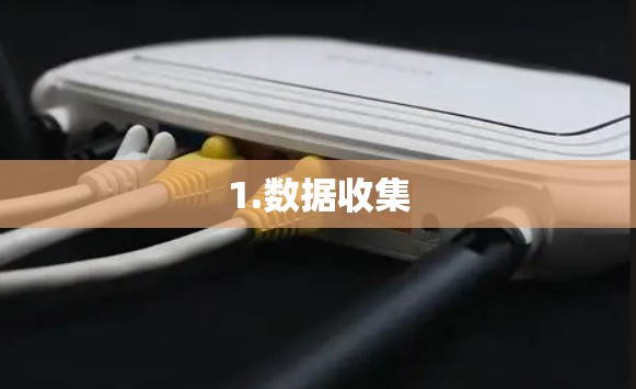 1.数据收集 1.数据收集