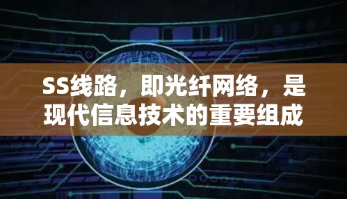 SS线路，即光纤网络，是现代信息技术的重要组成部分，尤其在高速数据传输和复杂网络中起着关键作用。以下是对SS线路性能分析的详细总结