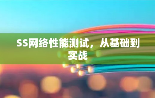 SS网络性能测试，从基础到实战