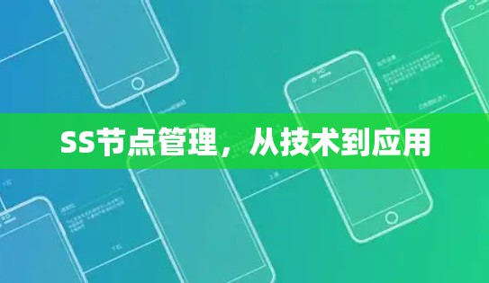 SS节点管理,从技术到应用 SS节点管理,从技术到应用