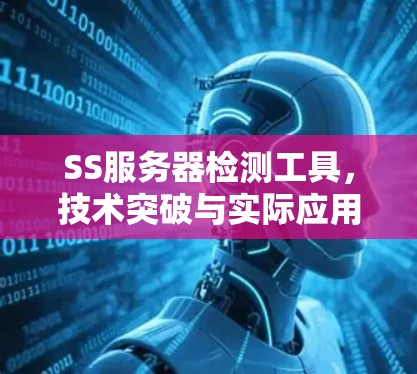 SS服务器检测工具,技术突破与实际应用 SS服务器检测工具,技术突破与实际应用