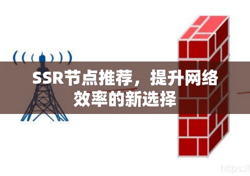 SSR节点推荐，提升网络效率的新选择