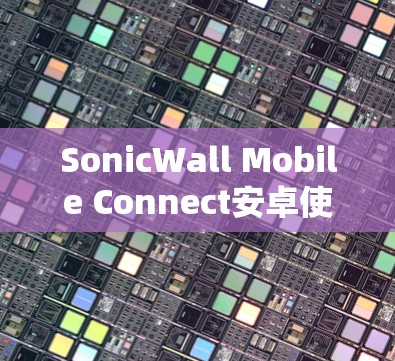 SonicWall Mobile Connect安卓使用指南