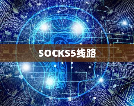 SOCKS5线路
