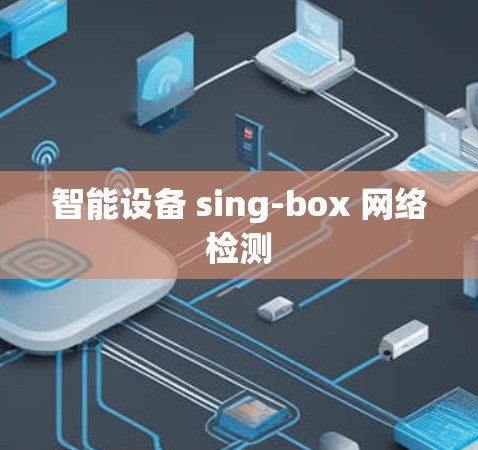 智能设备 sing-box 网络检测