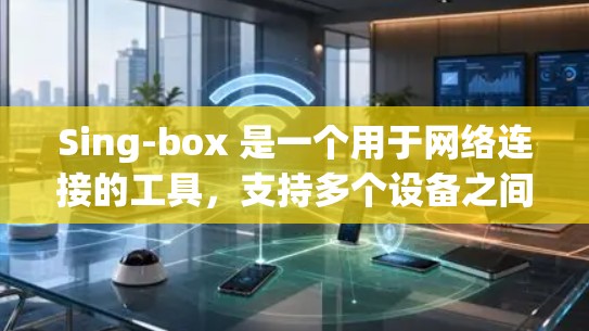 Sing-box 是一个用于网络连接的工具，支持多个设备之间的连接，包括无线和蓝牙。以下是Sing-box 的基本使用流程和功能
