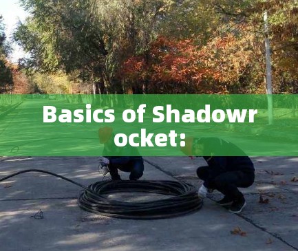 Basics of Shadowrocket: