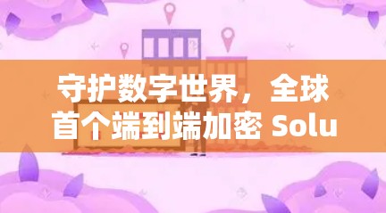 守护数字世界，全球首个端到端加密 Solution