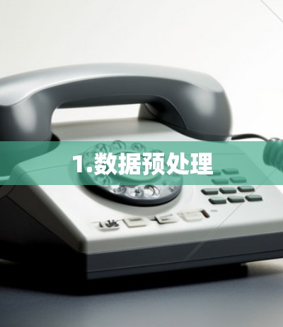 1.数据预处理