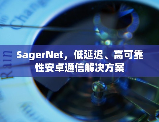 SagerNet,低延迟、高可靠性安卓通信解决方案 SagerNet,低延迟、高可靠性安卓通信解决方案