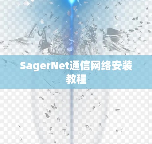 SagerNet通信网络安装教程