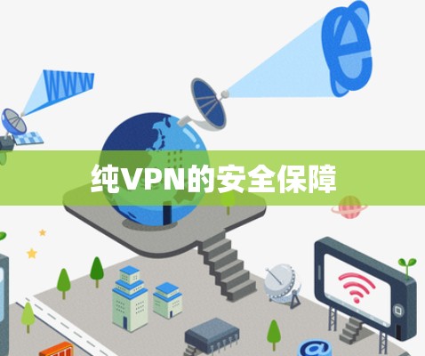 纯VPN的安全保障 纯VPN的安全保障