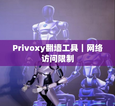 Privoxy翻墙工具|网络访问限制 Privoxy翻墙工具|网络访问限制